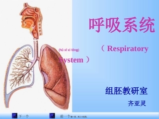 2022年医学专题—组织学与胚胎学-呼吸系统