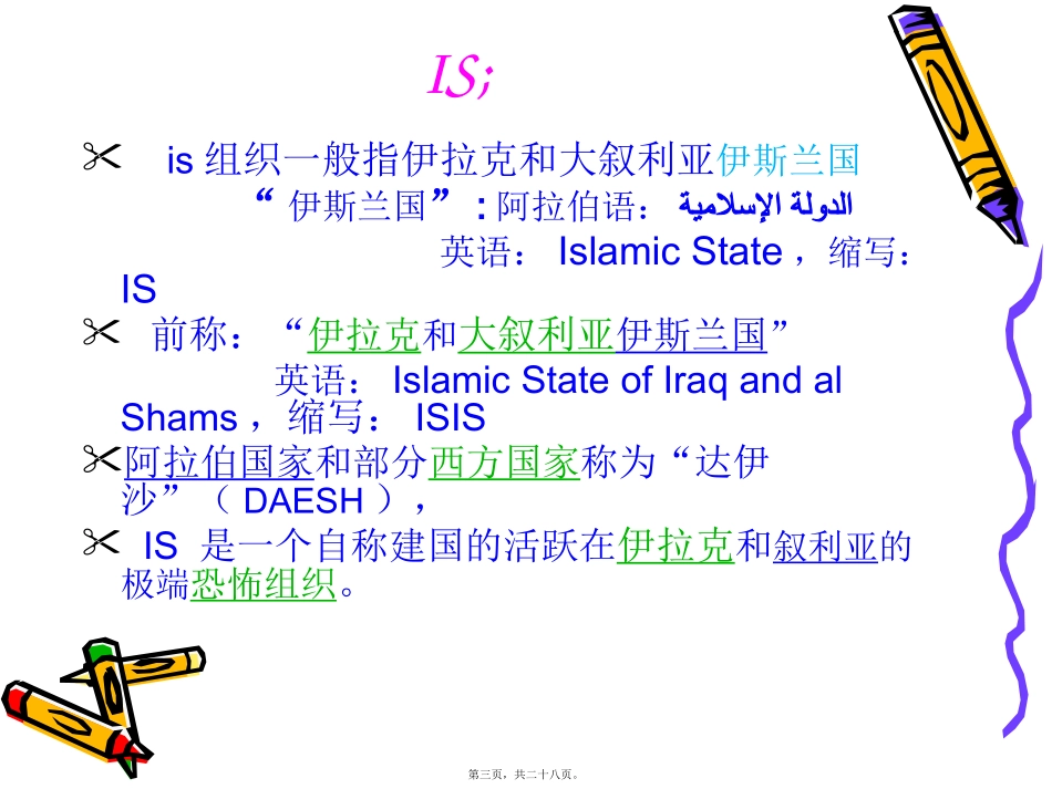 IS恐怖组织_第3页