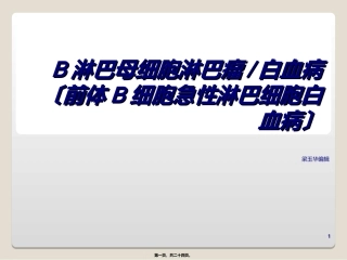 B淋巴母细胞淋巴瘤