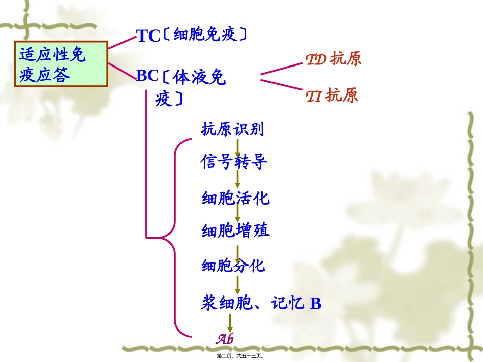 B淋巴细胞介导的体液免疫应答_第2页