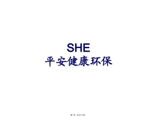 SHE(安全、健康、环保)剖析