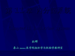 2022年医学专题—组织学与胚胎学-内分泌系统