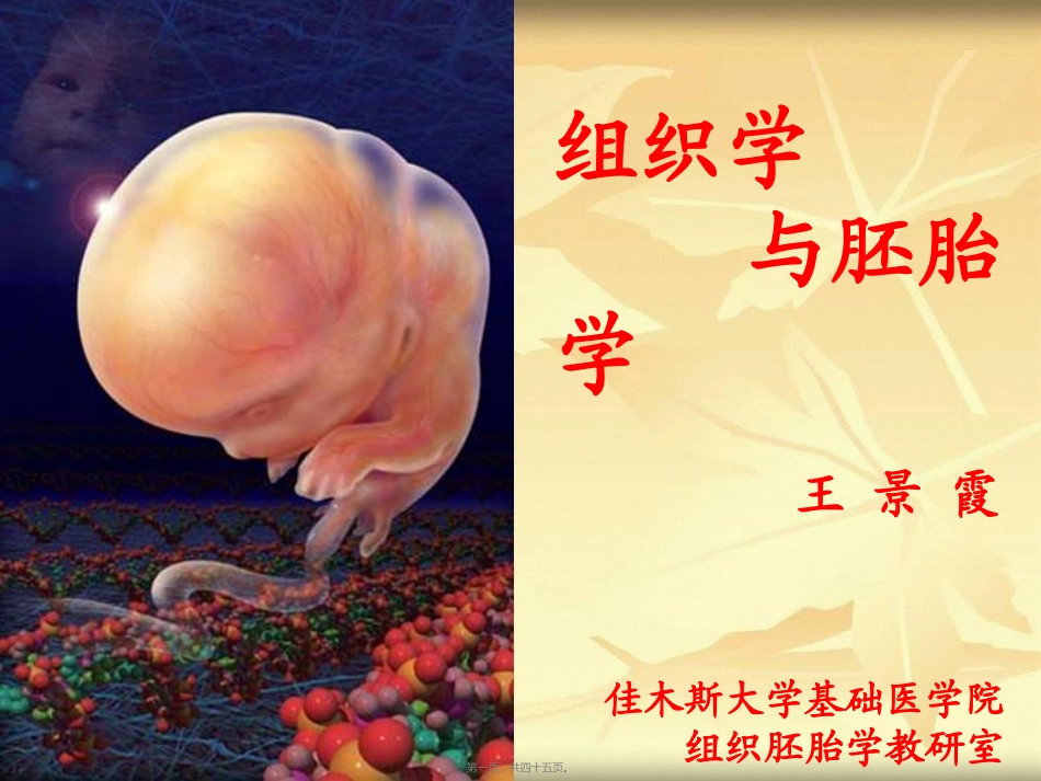 2022年医学专题—组织学与胚胎学-软骨与骨_第1页