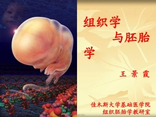 2022年医学专题—组织学与胚胎学-软骨与骨