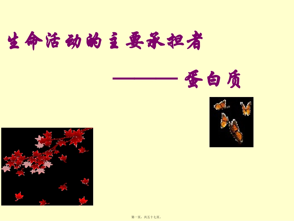 shen生命活动的主要承担者—蛋白质_第1页