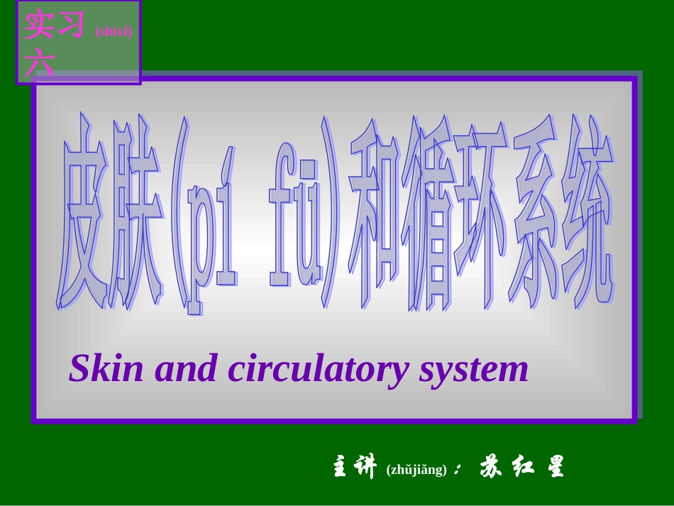 2022年医学专题—组织学与胚胎学实习6循环--皮肤.ppt-New-0_第1页