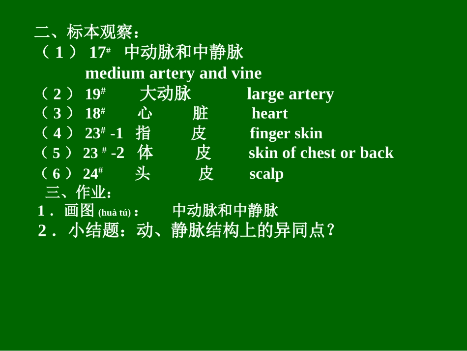 2022年医学专题—组织学与胚胎学实习6循环--皮肤.ppt-New-0_第3页