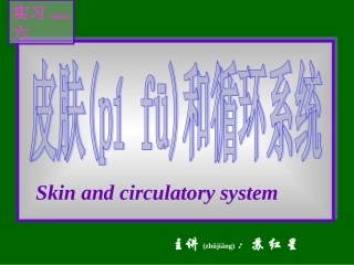 2022年医学专题—组织学与胚胎学实习6循环--皮肤.ppt-New-0