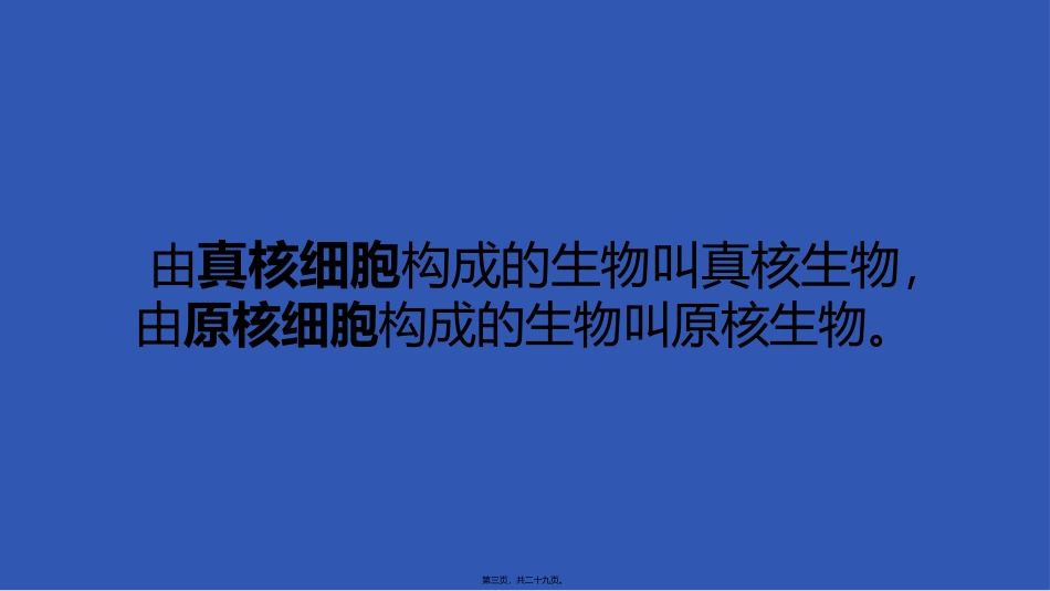 c1-s1-p0-细胞的多样性和统一性_第3页