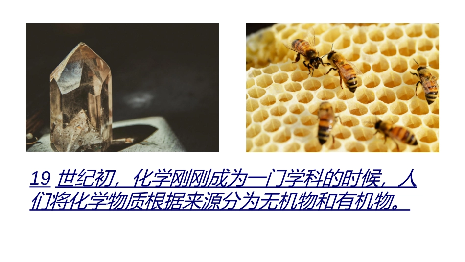 c2-s1-p0-蛋白质1_第2页