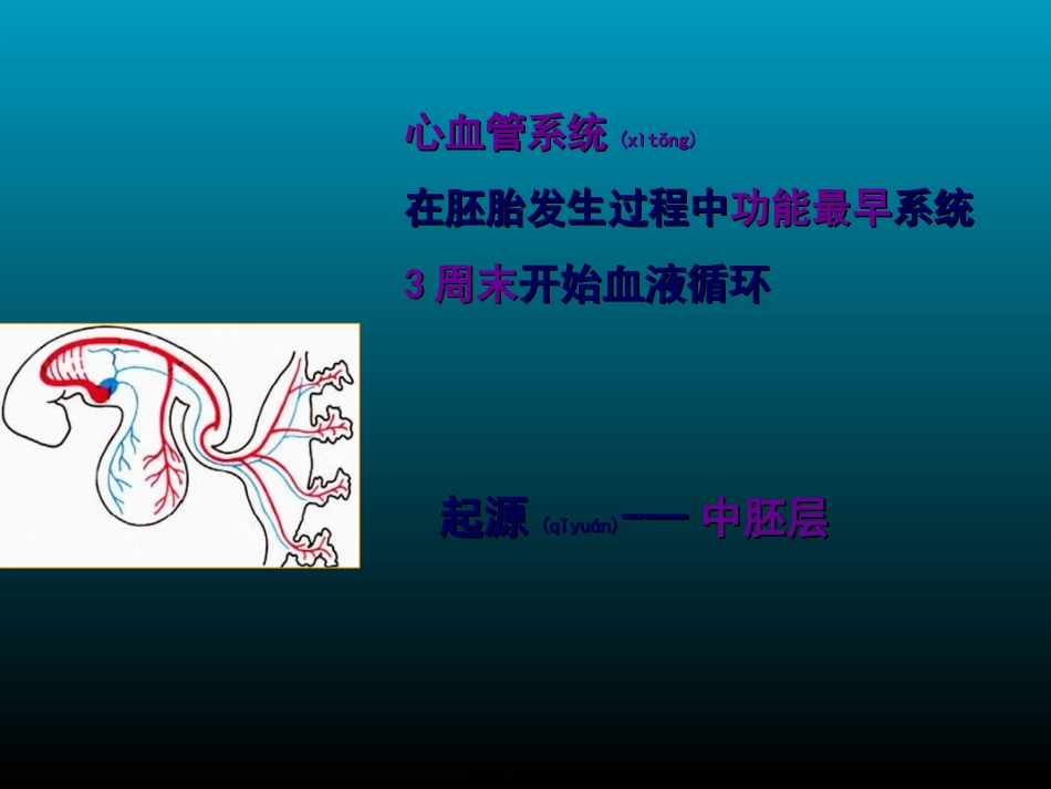 2022年医学专题—组织学与胚胎学-心血管系统发生_第3页