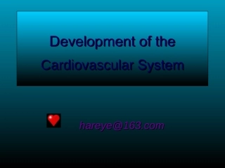2022年医学专题—组织学与胚胎学-心血管系统发生