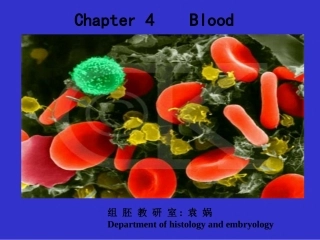 2022年医学专题—组织学与胚胎学-血液-双语教学