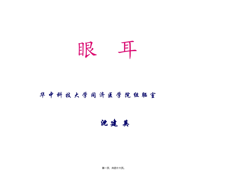 2022年医学专题—组织学与胚胎学-眼球眼睑内耳_第1页