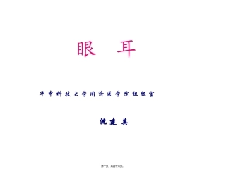 2022年医学专题—组织学与胚胎学-眼球眼睑内耳