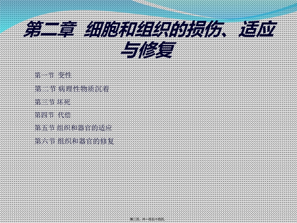 C2-细胞和组织的损伤、适应与修复_第2页