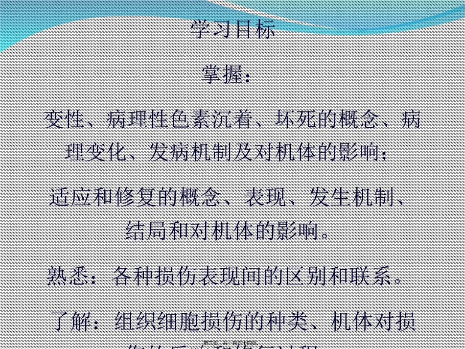 C2-细胞和组织的损伤、适应与修复_第3页