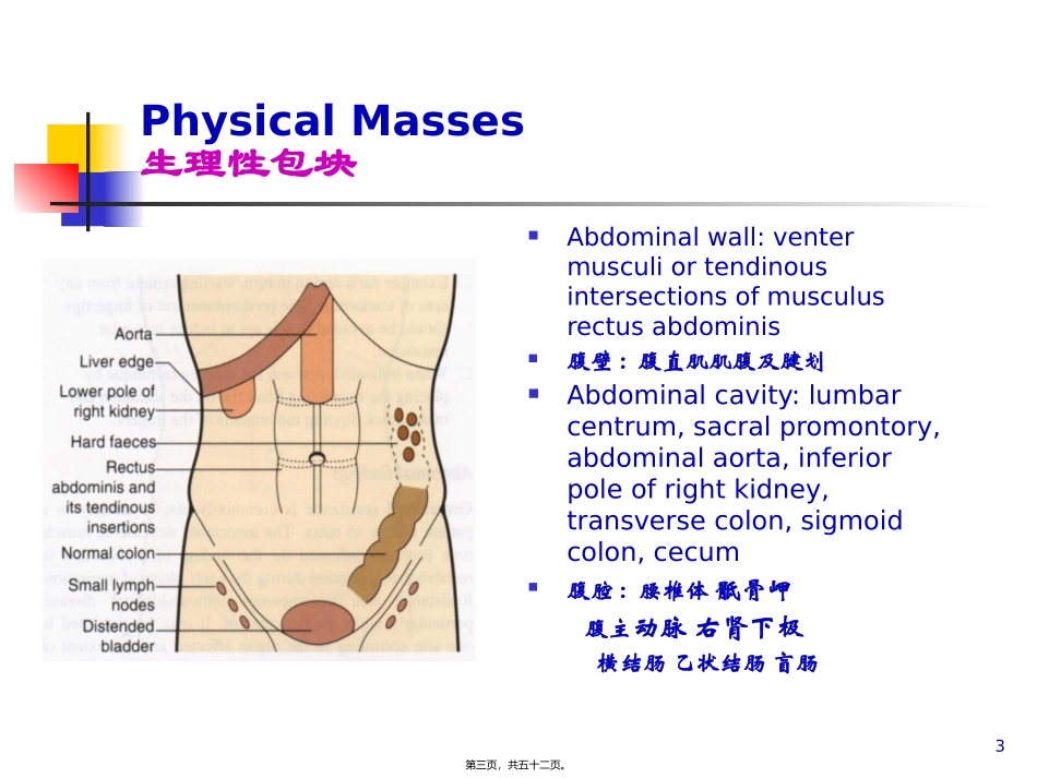 J腹部检查B_第3页