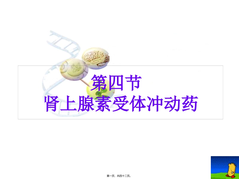 C4-2传出神经系统药_第1页