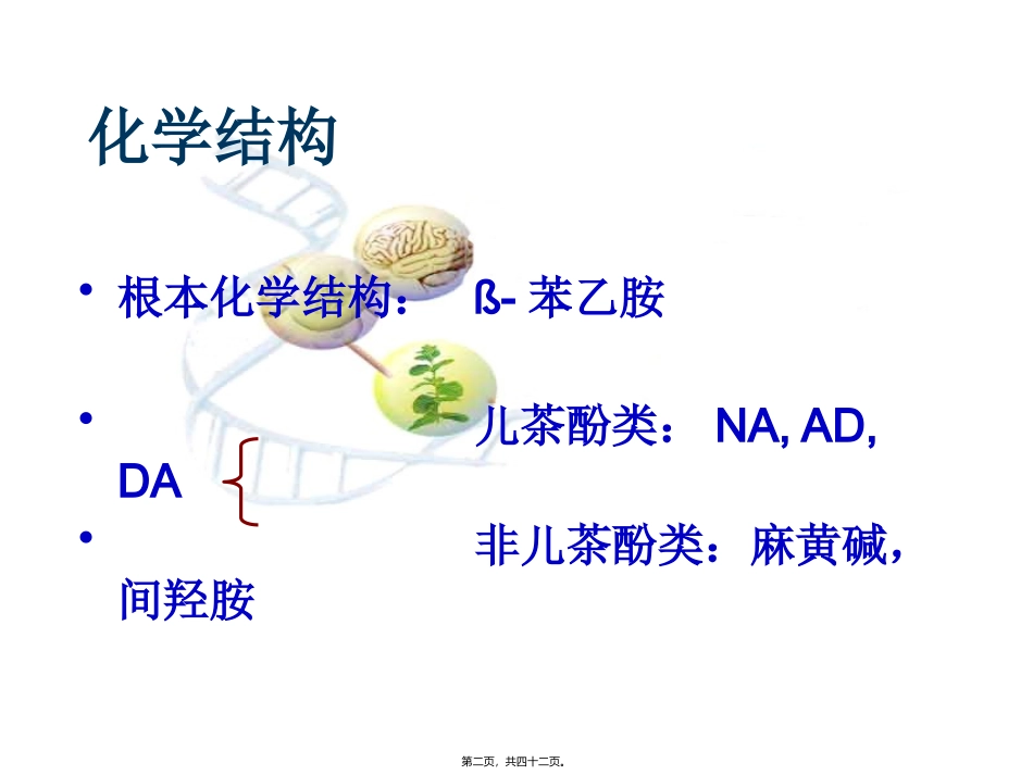 C4-2传出神经系统药_第2页