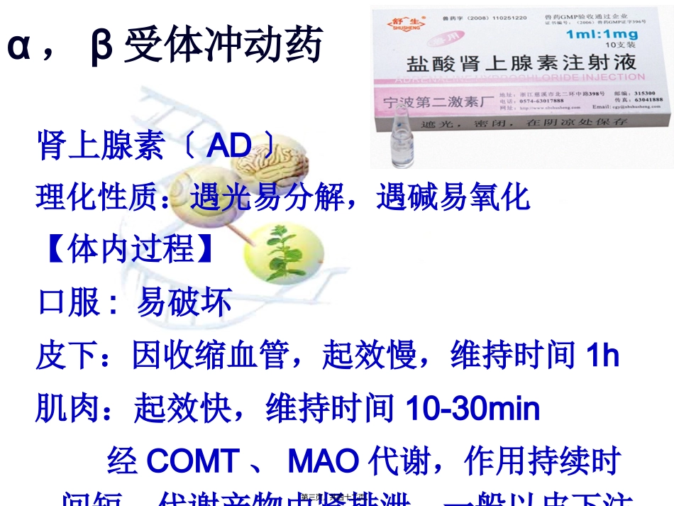 C4-2传出神经系统药_第3页
