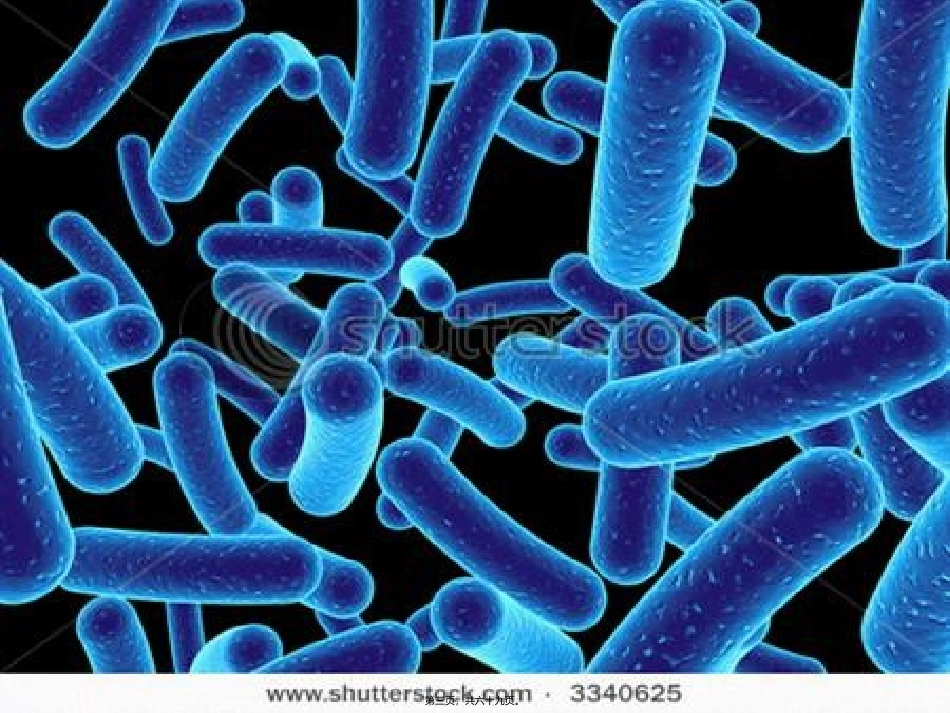 J美容院的卫生与消毒_第3页