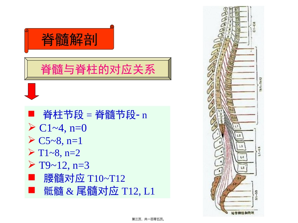 j神经病学脊髓病变_第3页