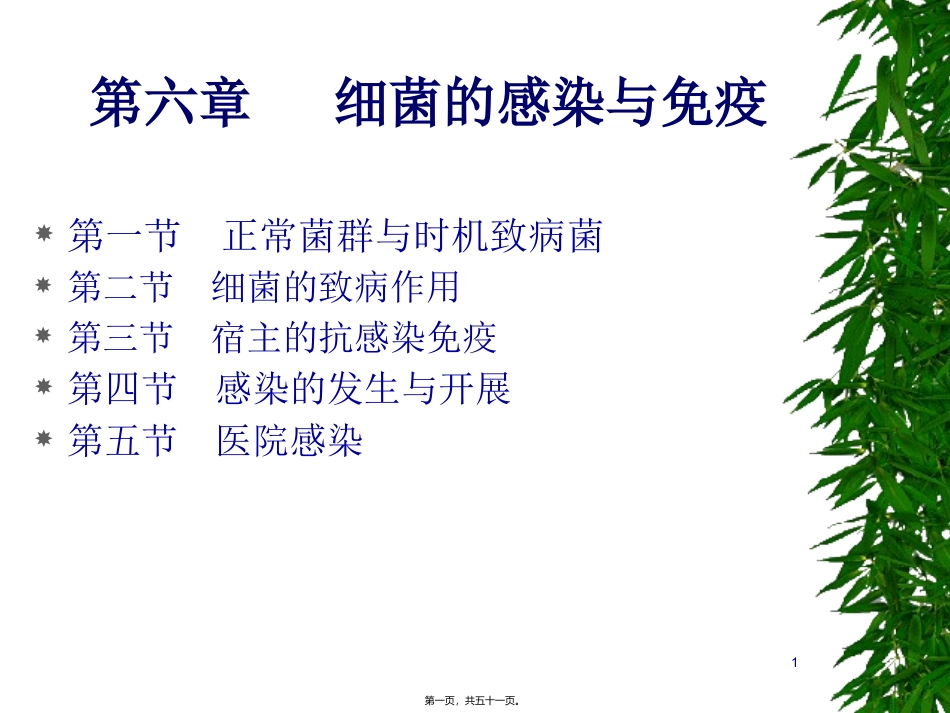 C6细菌感染与免疫_第1页