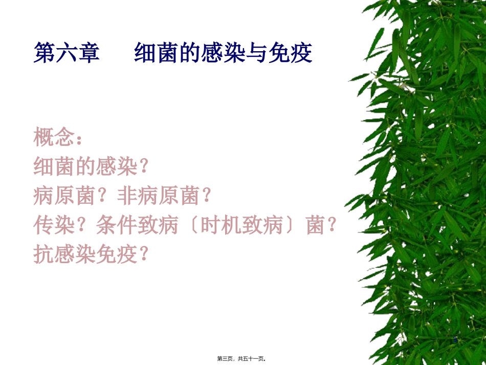 C6细菌感染与免疫_第3页