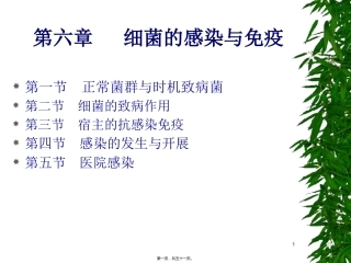 C6细菌感染与免疫