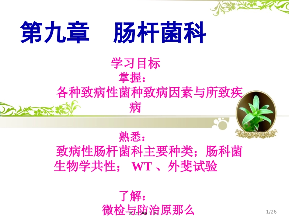 C9-肠道杆菌_第1页