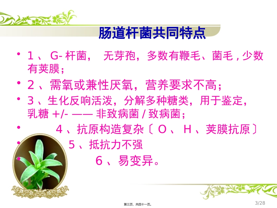 C9-肠道杆菌_第3页