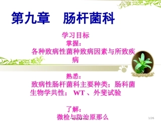 C9-肠道杆菌