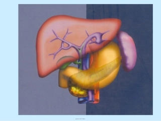 2022年医学专题—最新(2008[1].1.4职技中西医结合)肝硬化-文档资料
