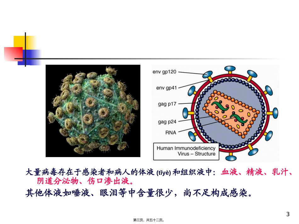 2022年医学专题—最新：艾滋病基本知识流行形势-文档资料_第3页
