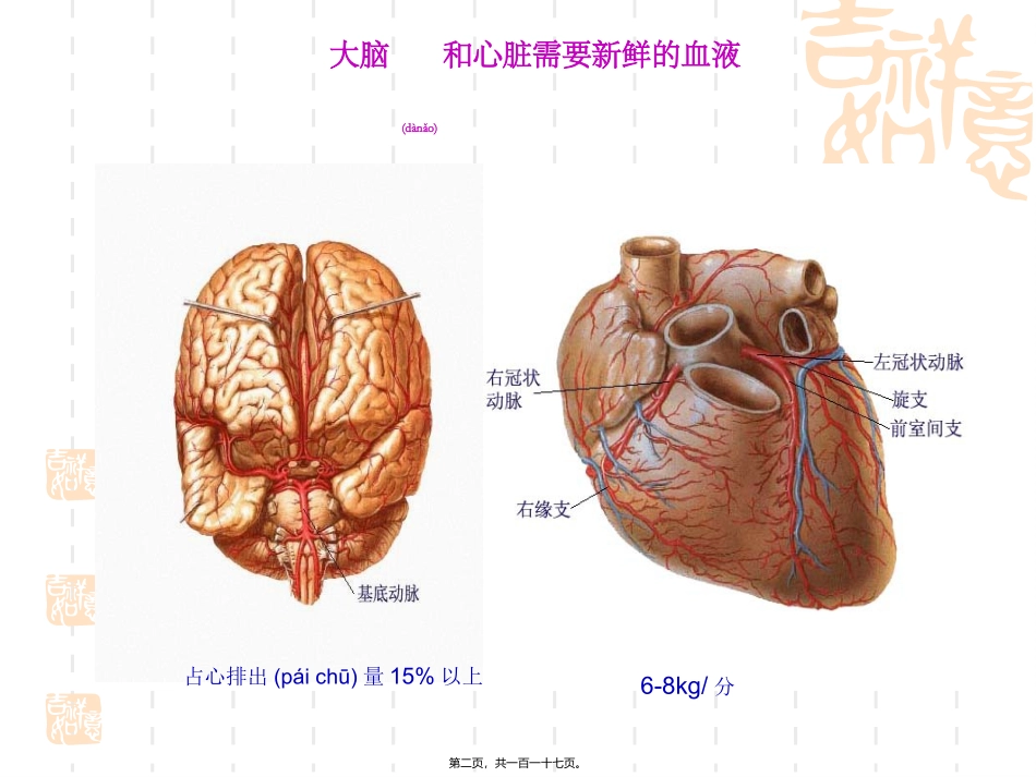 2022年医学专题—最新12版基药心脑血管物部分-PPT文档_第2页
