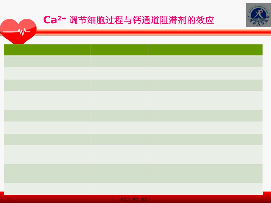 CCB类降压药_第2页