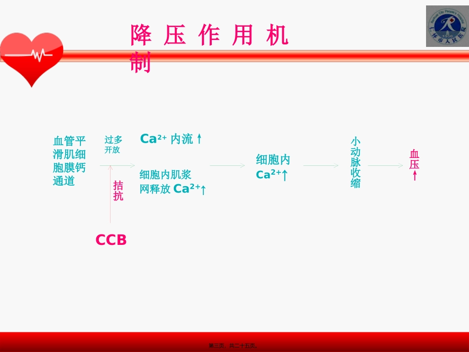 CCB类降压药_第3页