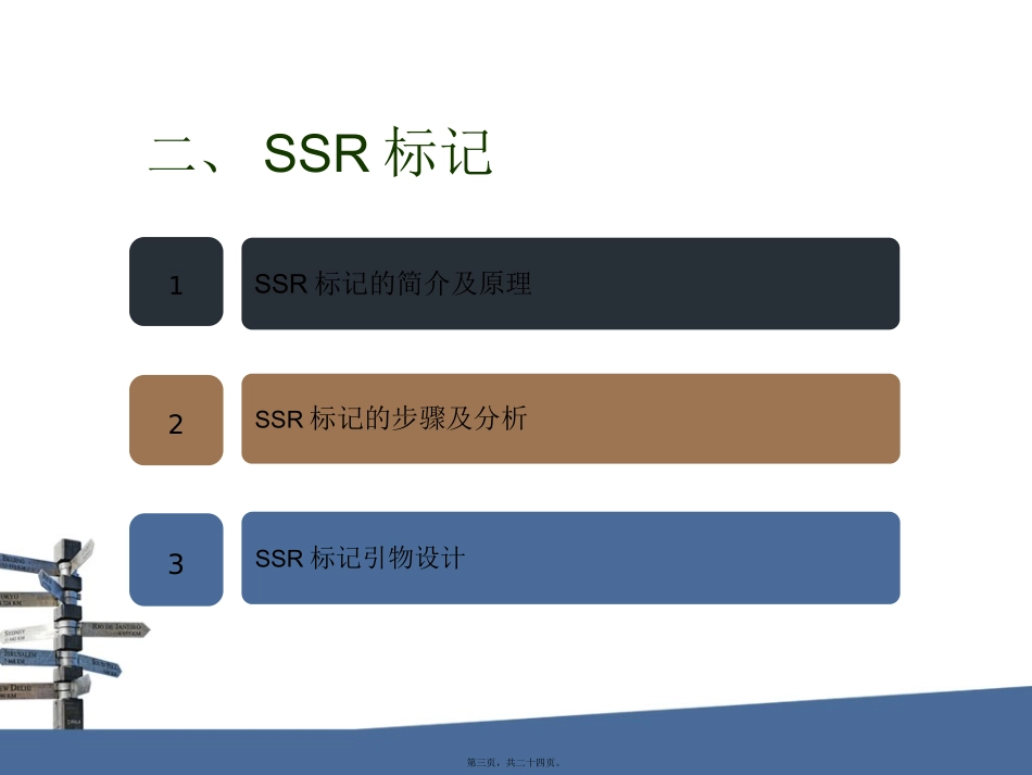 SSR分子标记精讲_第3页
