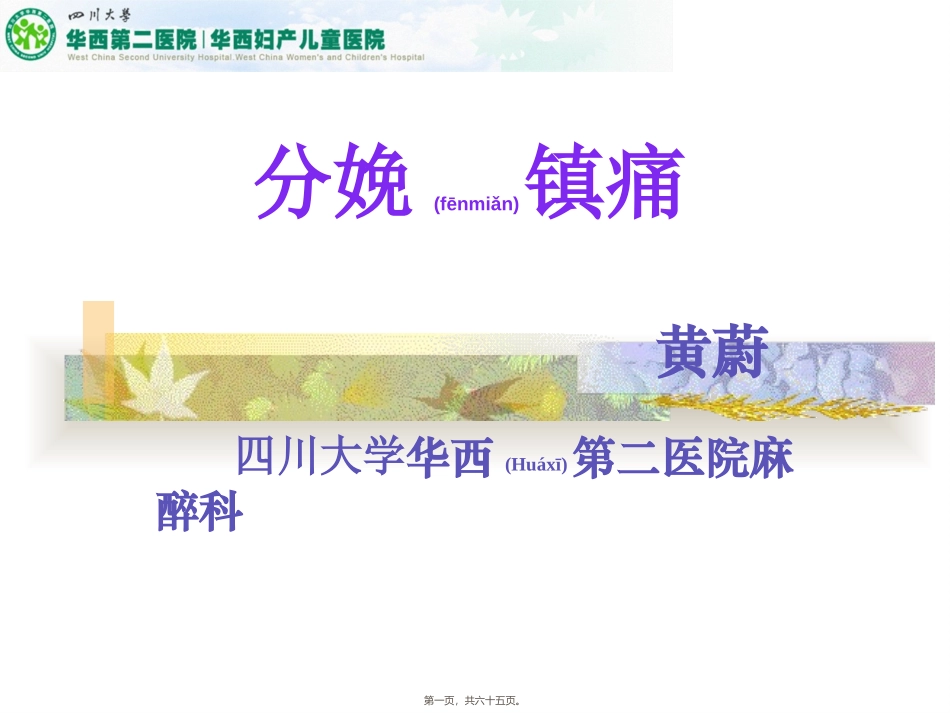 2022年医学专题—最新分娩镇痛_第1页