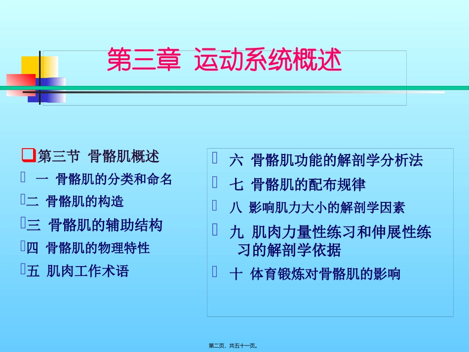CH3-运动系统4-骨骼肌的概述_第2页