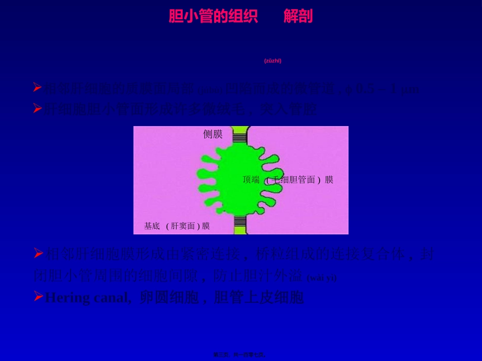 2022年医学专题—最新肝内胆汁淤积-武汉-PPT文档_第3页