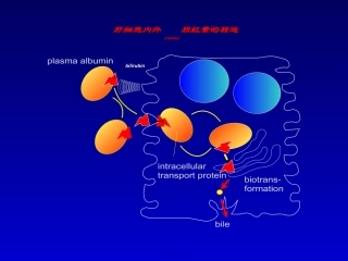 2022年医学专题—最新肝内瘀胆-PPT文档