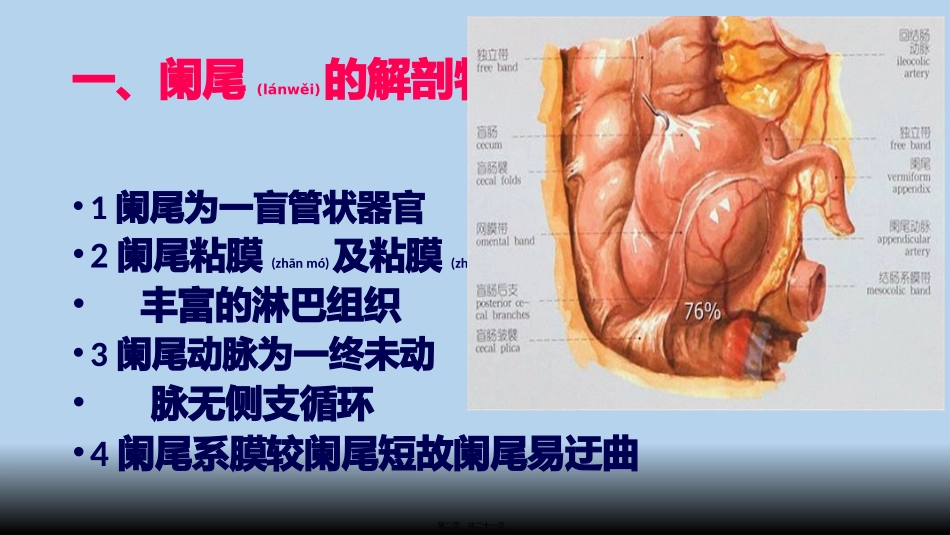 2022年医学专题—最新阑尾炎PPT_第2页