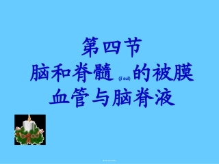 2022年医学专题—最新脑、脊髓被膜-脑脊液-脑血管-PPT文档