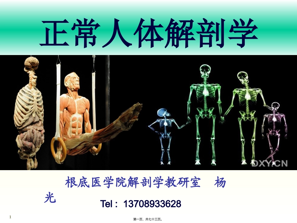 chapter01骨学_第1页