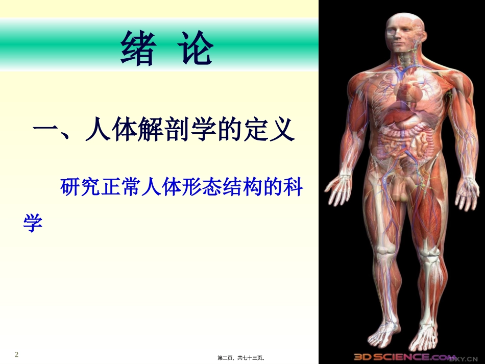 chapter01骨学_第2页