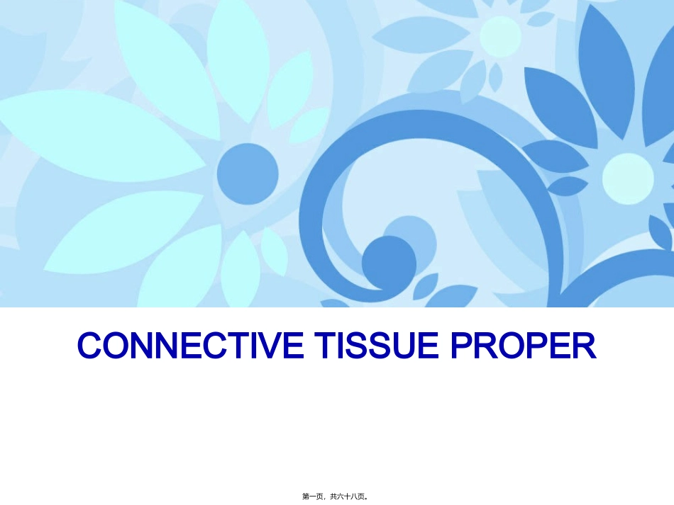 Chapter3-Connective-Tissue-prooper(固有结缔组织)_第1页