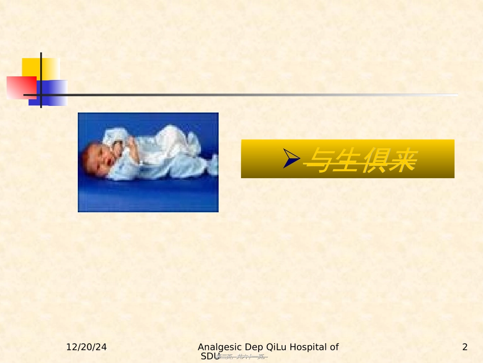 2022年医学专题—最新疼痛基理论及诊疗原则-PPT文档_第2页