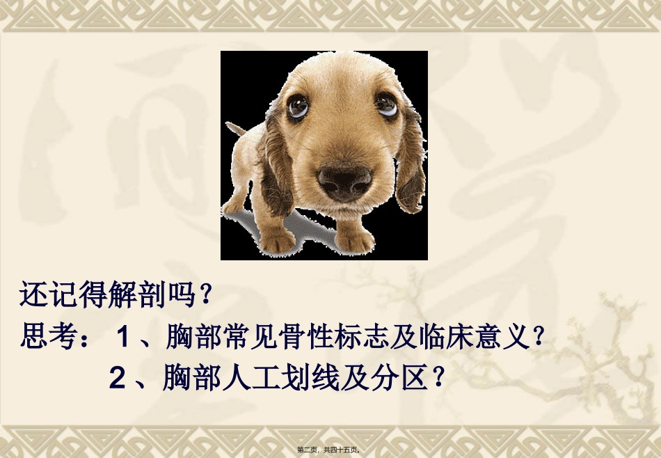 chapter4肺与胸膜评估_第2页